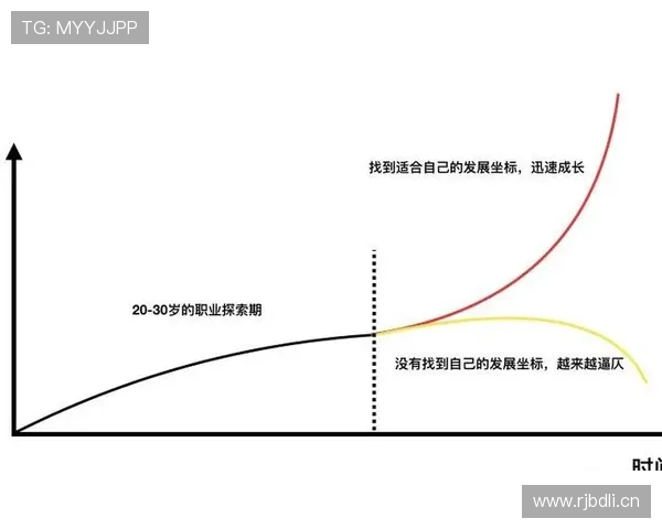 达姆斯高职业轨迹：从北西兰到布伦特福德的稳步成长解析